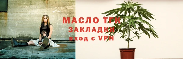 крисы Ельня