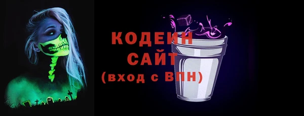 крисы Ельня