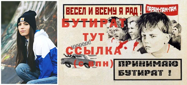 крисы Ельня
