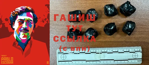 крисы Ельня