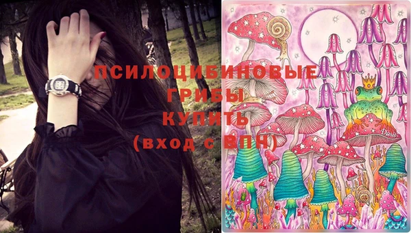 a pvp Дмитров