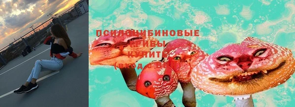 твердый Елабуга