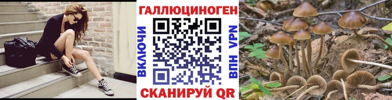 Галлюциногенные грибы Psilocybine cubensis  Слободской 