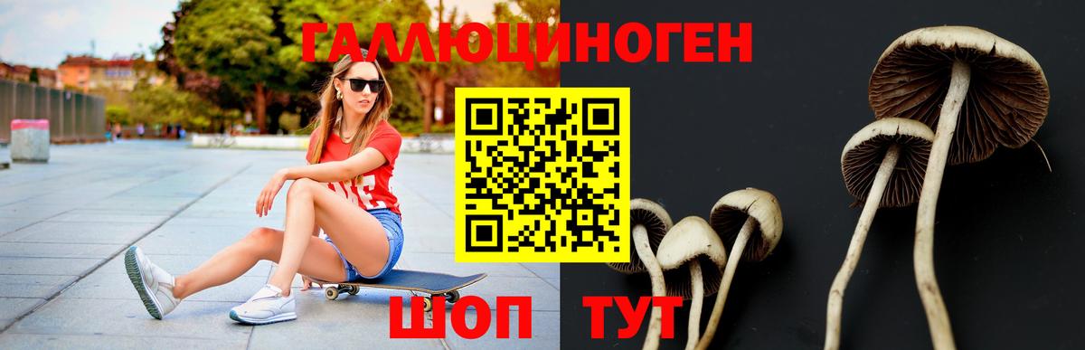 Слободской  Псилоцибиновые грибы Psilocybine cubensis  Вход с VPN  Псилоцибиновые грибы мицелий 